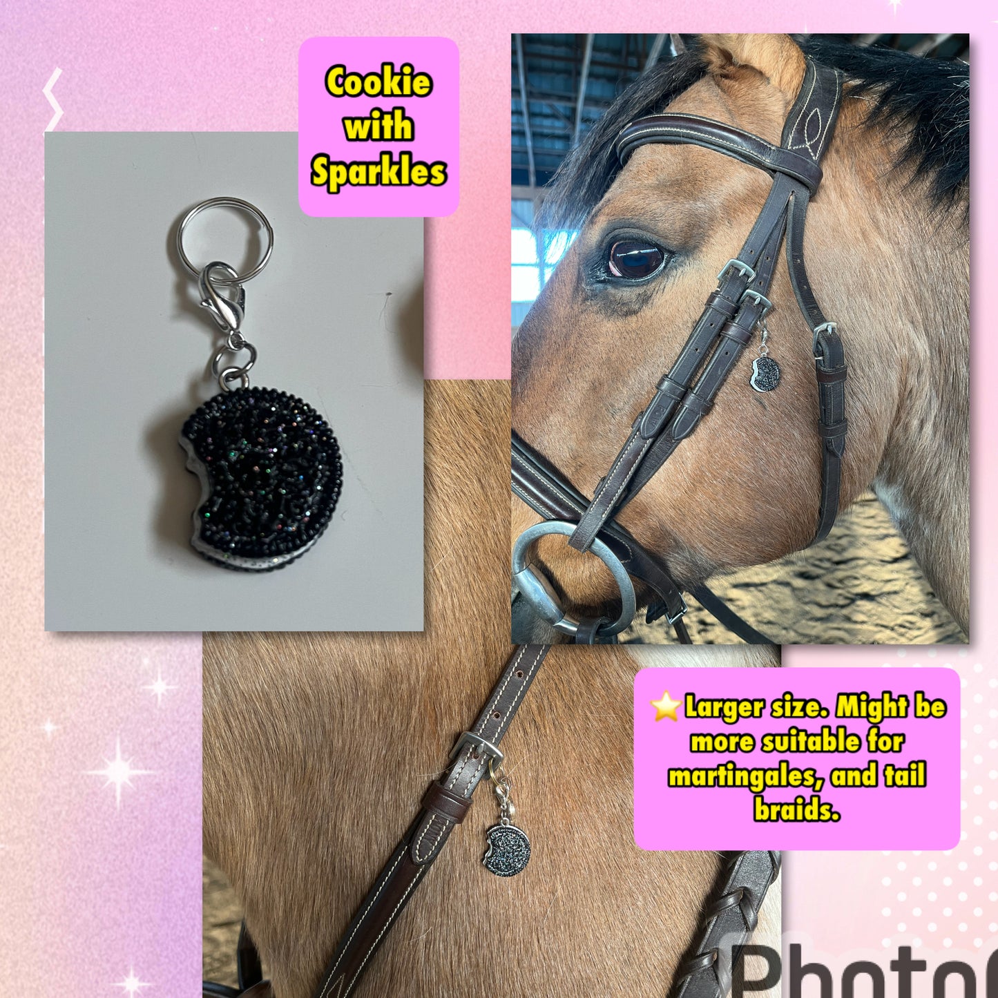 CHARMS
