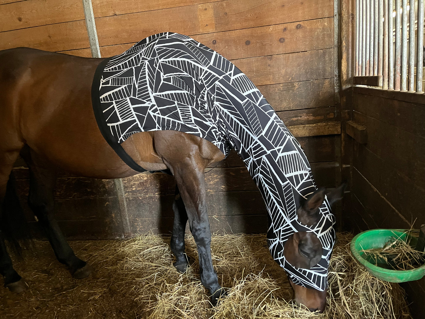 HORSE SIZE SLINKY. FREE CHARM