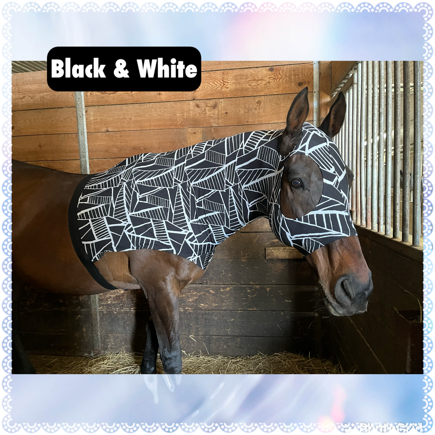 HORSE SIZE SLINKY. FREE CHARM