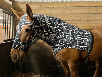 WARMBLOOD/DRAFT CROSS SLINKY. FREE CHARM