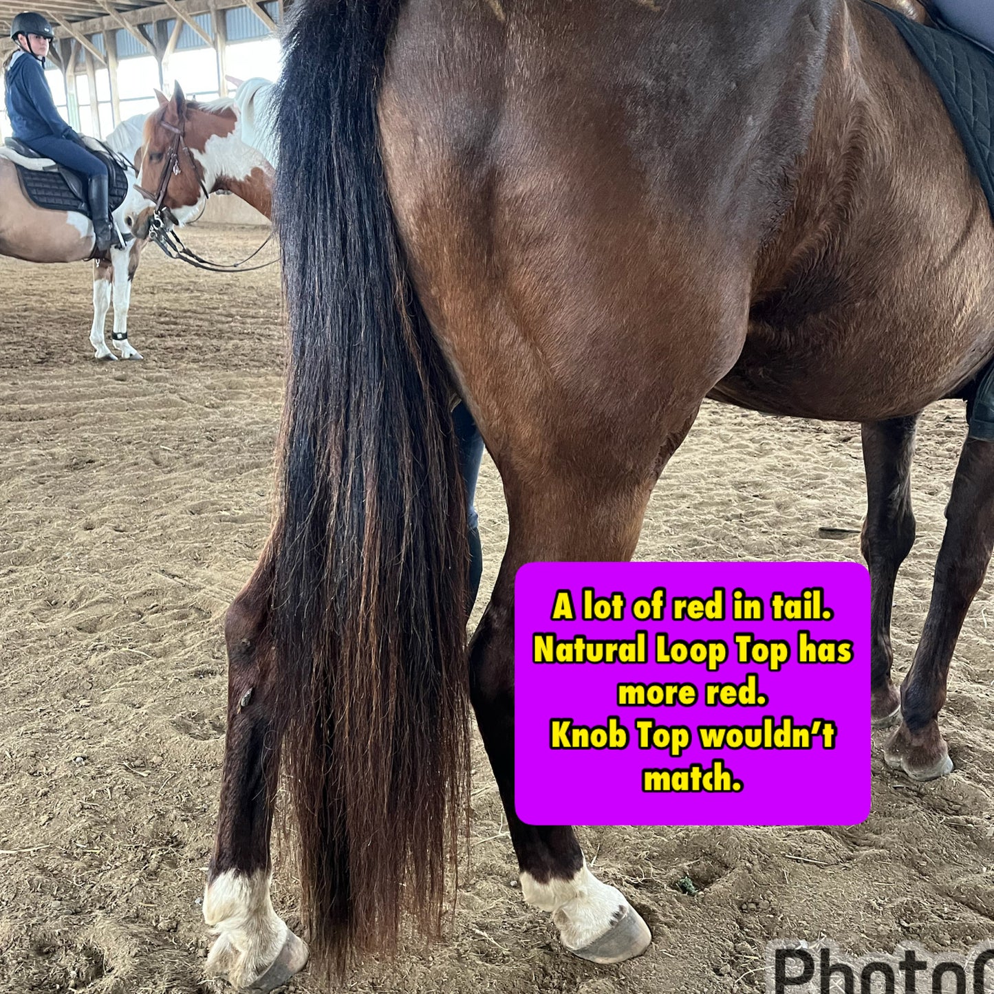 KNOB TOP Fake Tails 1 Pound. Real Horse Hair. Free Cover Bag, Pom Pom, Free Bridle Charm, Loop Charm. $180