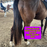 KNOB TOP Fake Tails 1 Pound. Real Horse Hair. Free Cover Bag, Pom Pom, Free Bridle Charm, Loop Charm.