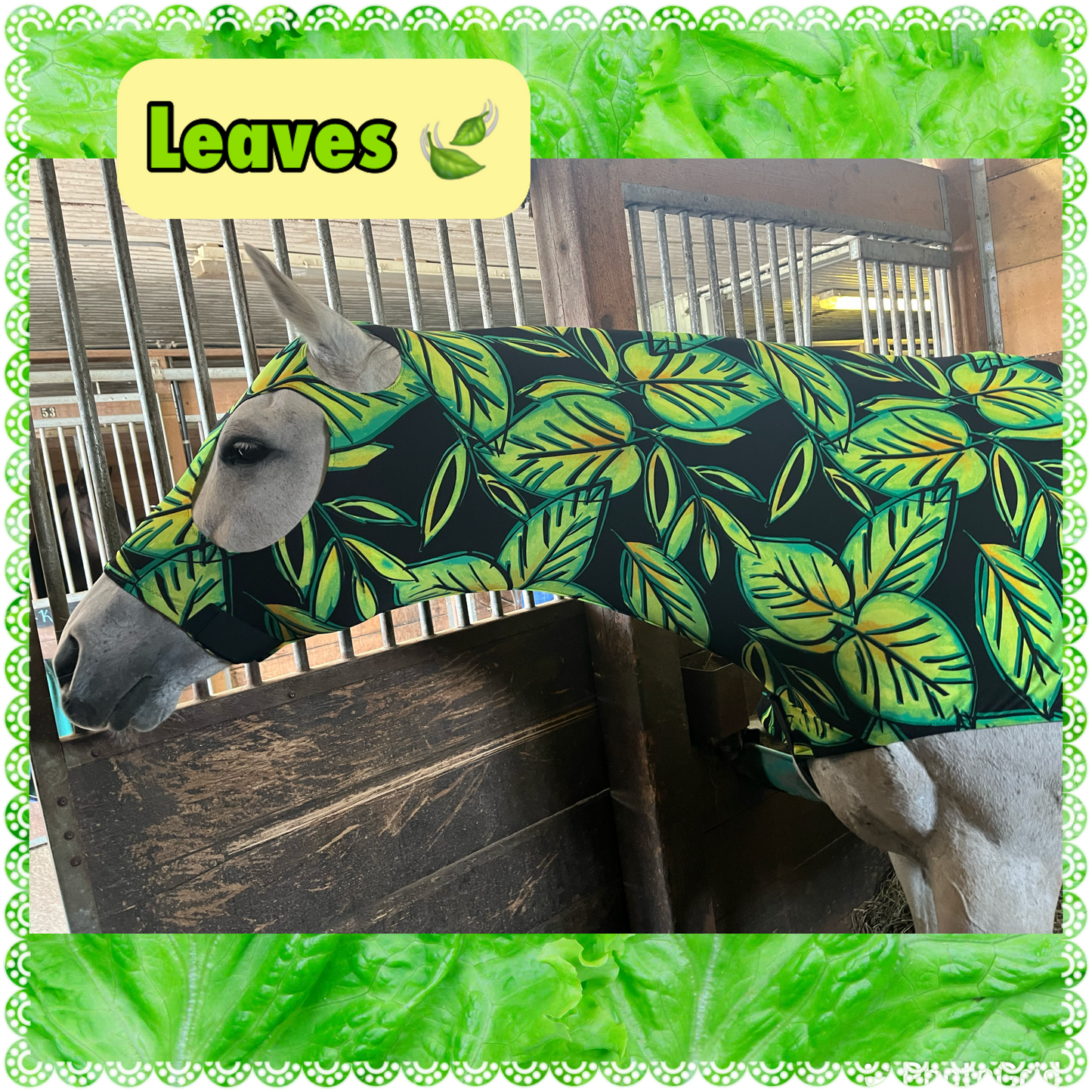 SMALL PONY SLINKY/SMALL-SIZED MEDIUM PONY. FREE CHARM