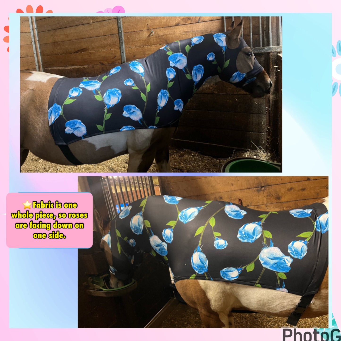 LARGE PONY/SMALL HORSE SLINKY. FREE CHARM