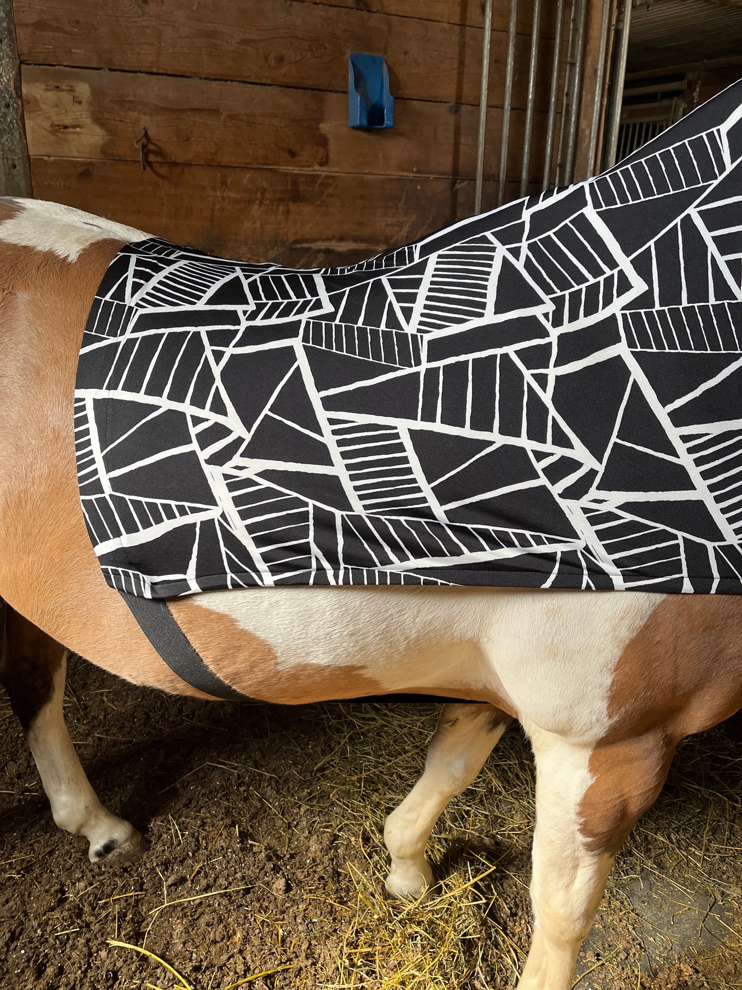 MEDIUM PONY SLINKY/SMALL-SIZED LARGE PONY. FREE CHARM