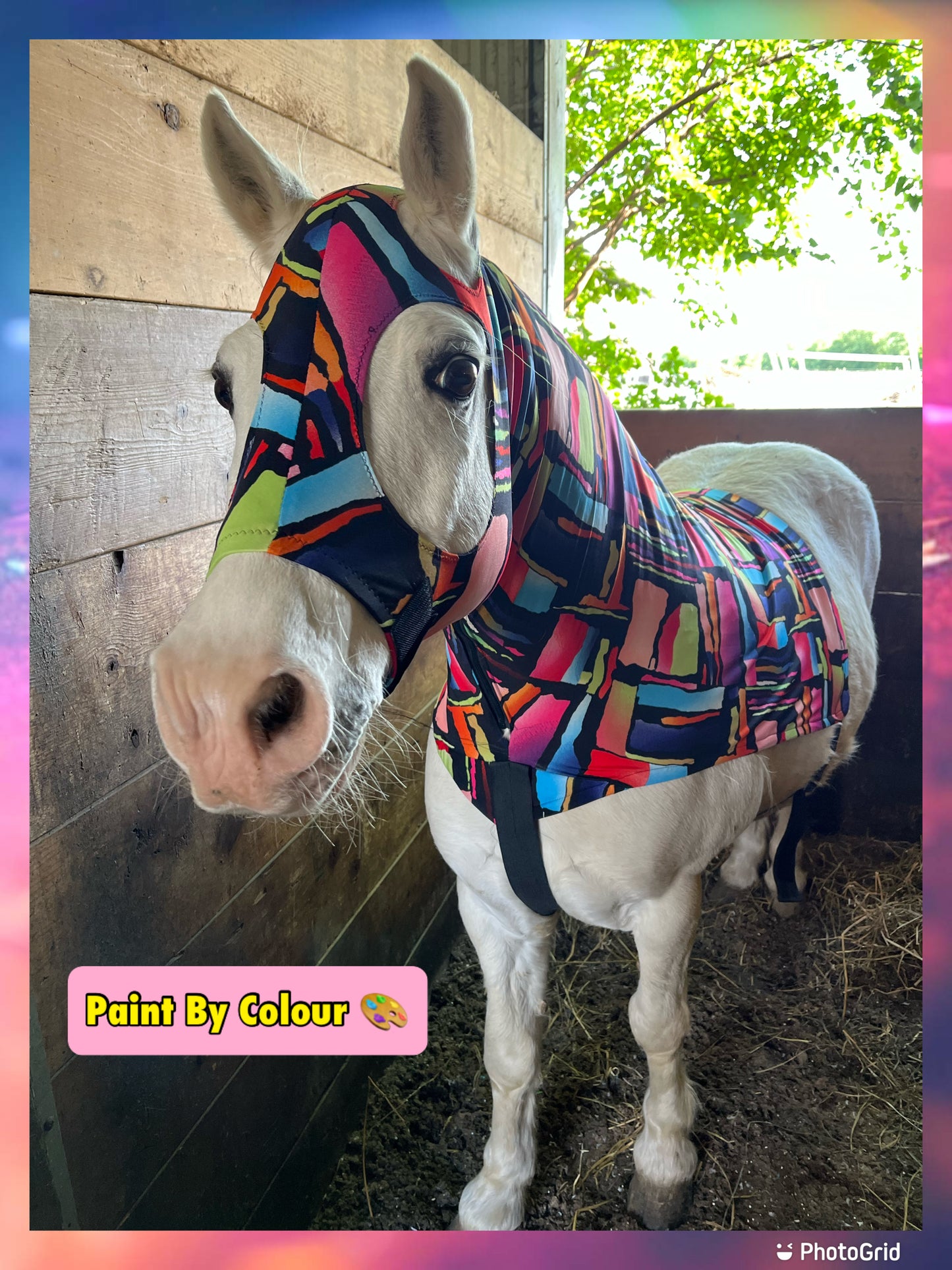LARGE PONY/SMALL HORSE SLINKY. FREE CHARM