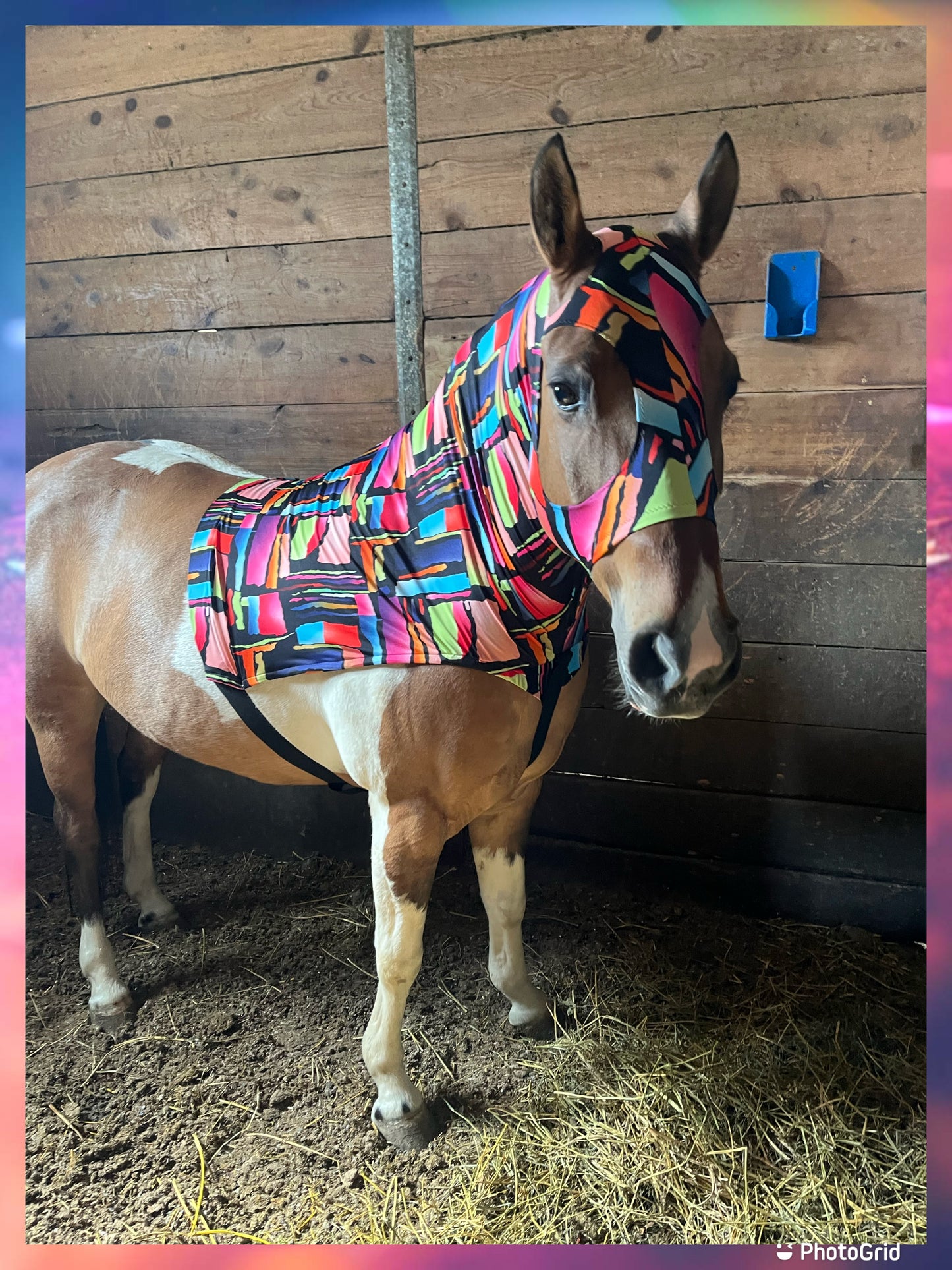 LARGE PONY/SMALL HORSE SLINKY. FREE CHARM