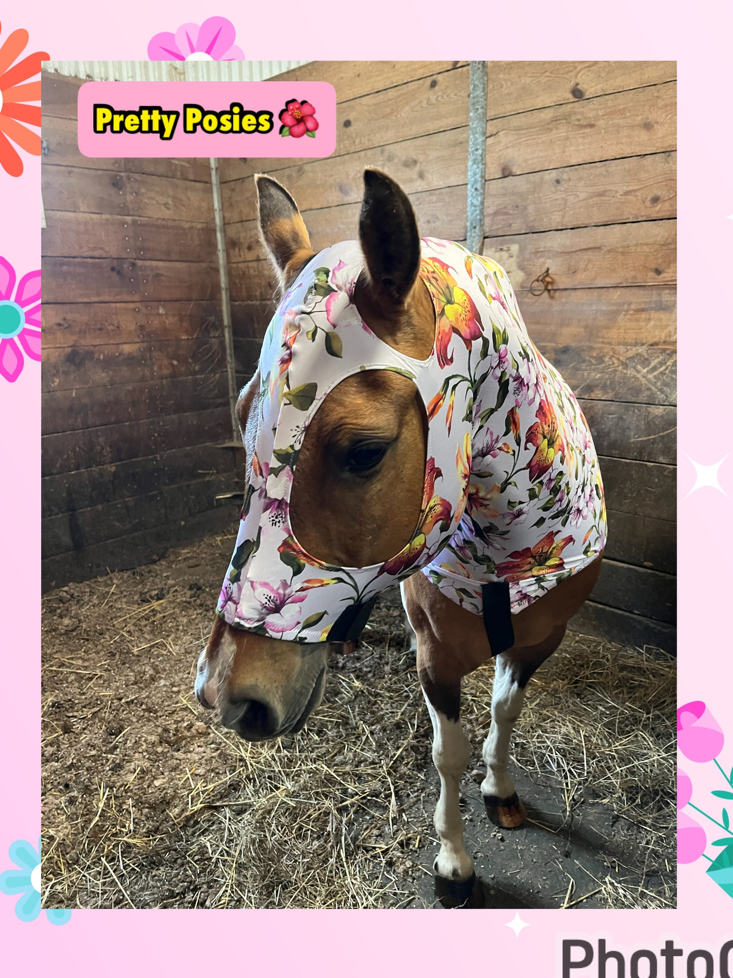 HORSE SIZE SLINKY. FREE CHARM