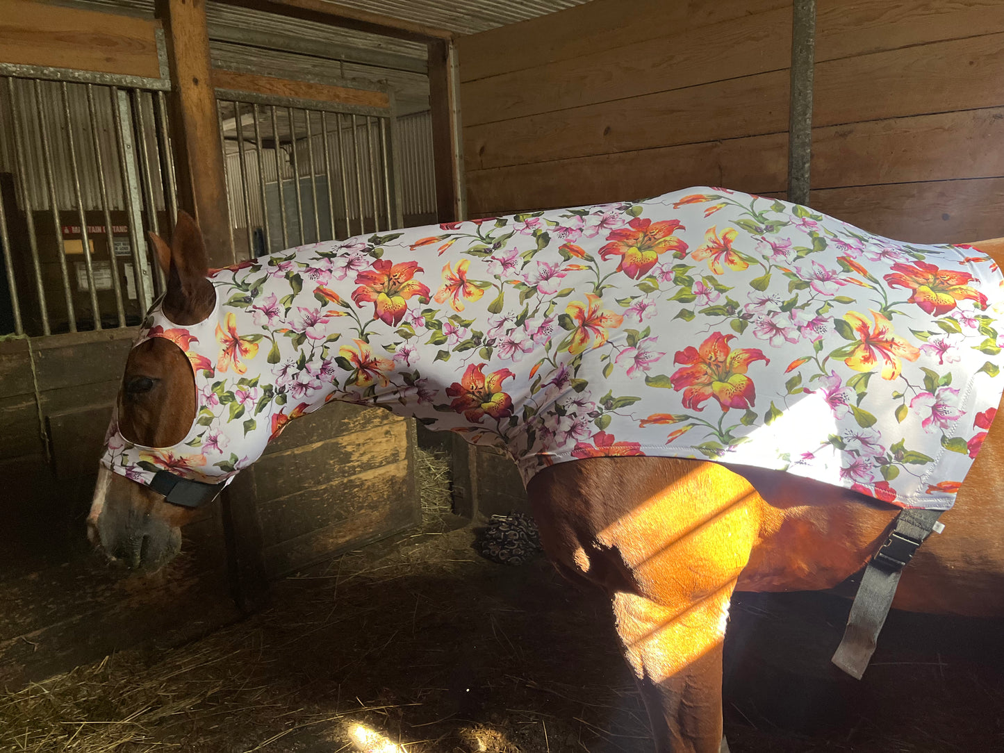 HORSE SIZE SLINKY. FREE CHARM