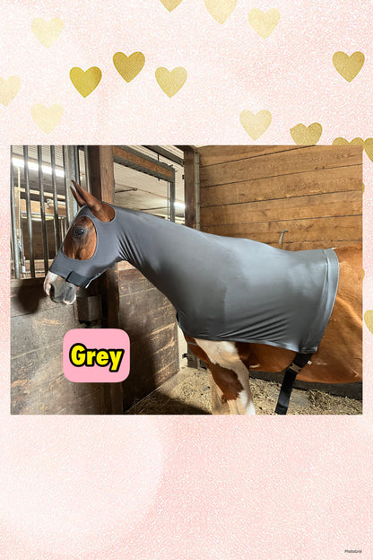 LARGE PONY/SMALL HORSE SLINKY. FREE CHARM