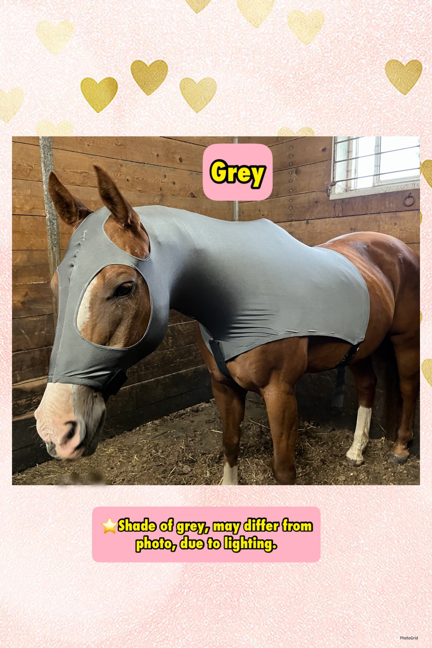 LARGE PONY/SMALL HORSE SLINKY. FREE CHARM