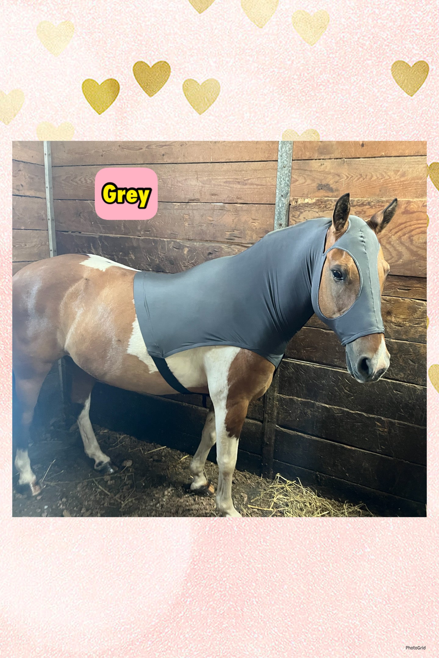 LARGE PONY/SMALL HORSE SLINKY. FREE CHARM