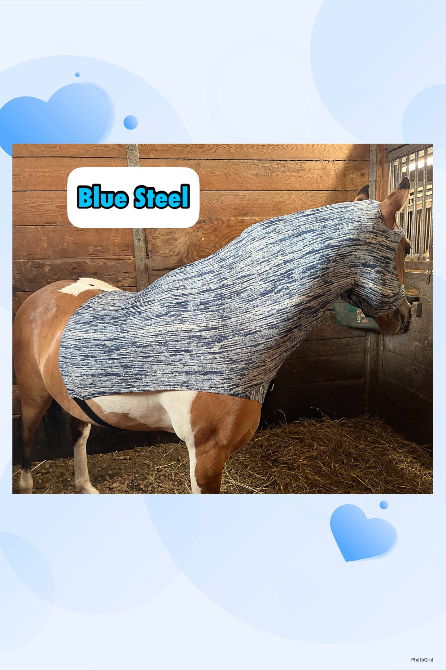 HORSE SIZE SLINKY. FREE CHARM