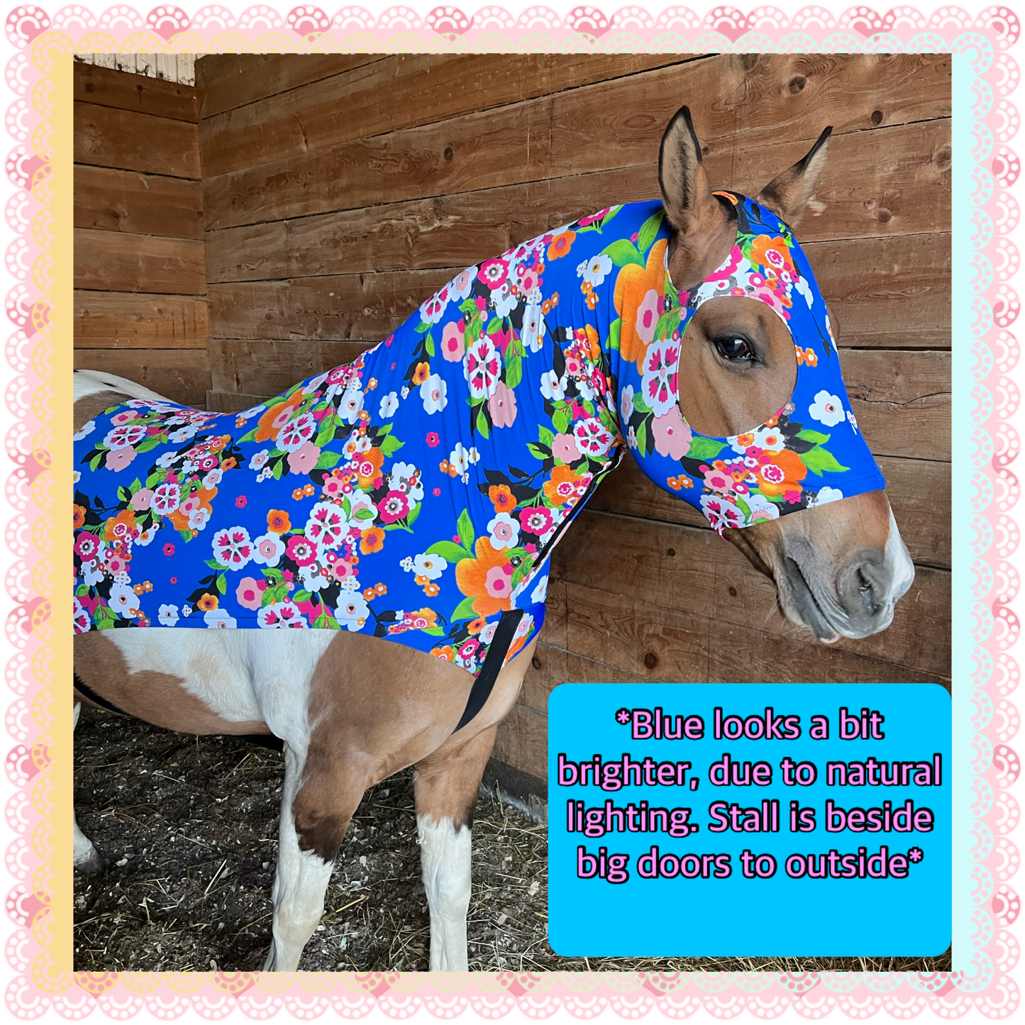 MEDIUM PONY SLINKY/SMALL-SIZED LARGE PONY. FREE CHARM