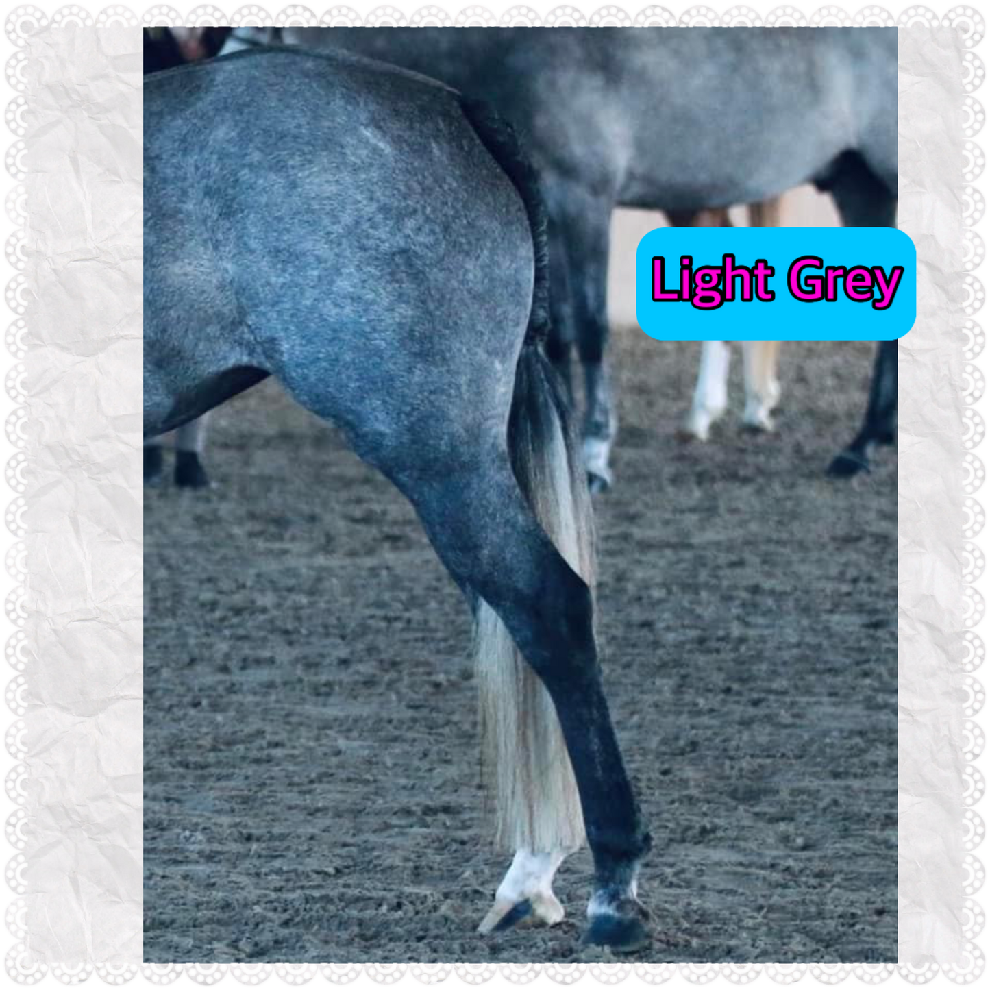 NATURAL LOOP FAKE TAILS. Real Horse Hair. Free Cover Bag, Pom Pom, Bridle Charm, Loop Charm. $99.99 - $550