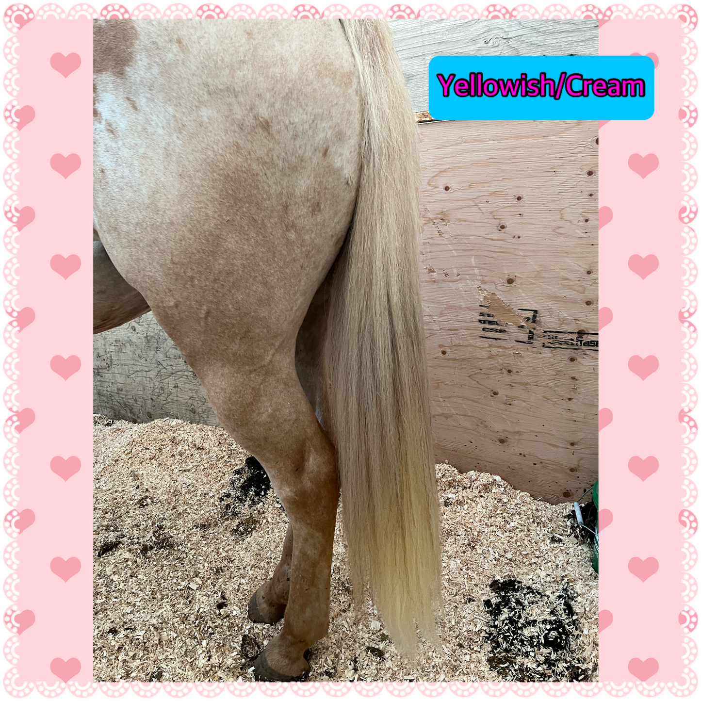 NATURAL LOOP FAKE TAILS. Real Horse Hair. Free Cover Bag, Pom Pom, Bridle Charm, Loop Charm. $99.99 - $550