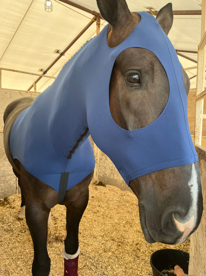 WARMBLOOD/DRAFT CROSS SLINKY. FREE CHARM