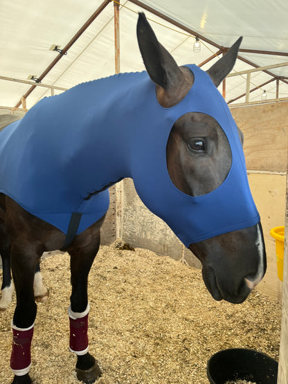 WARMBLOOD/DRAFT CROSS SLINKY. FREE CHARM
