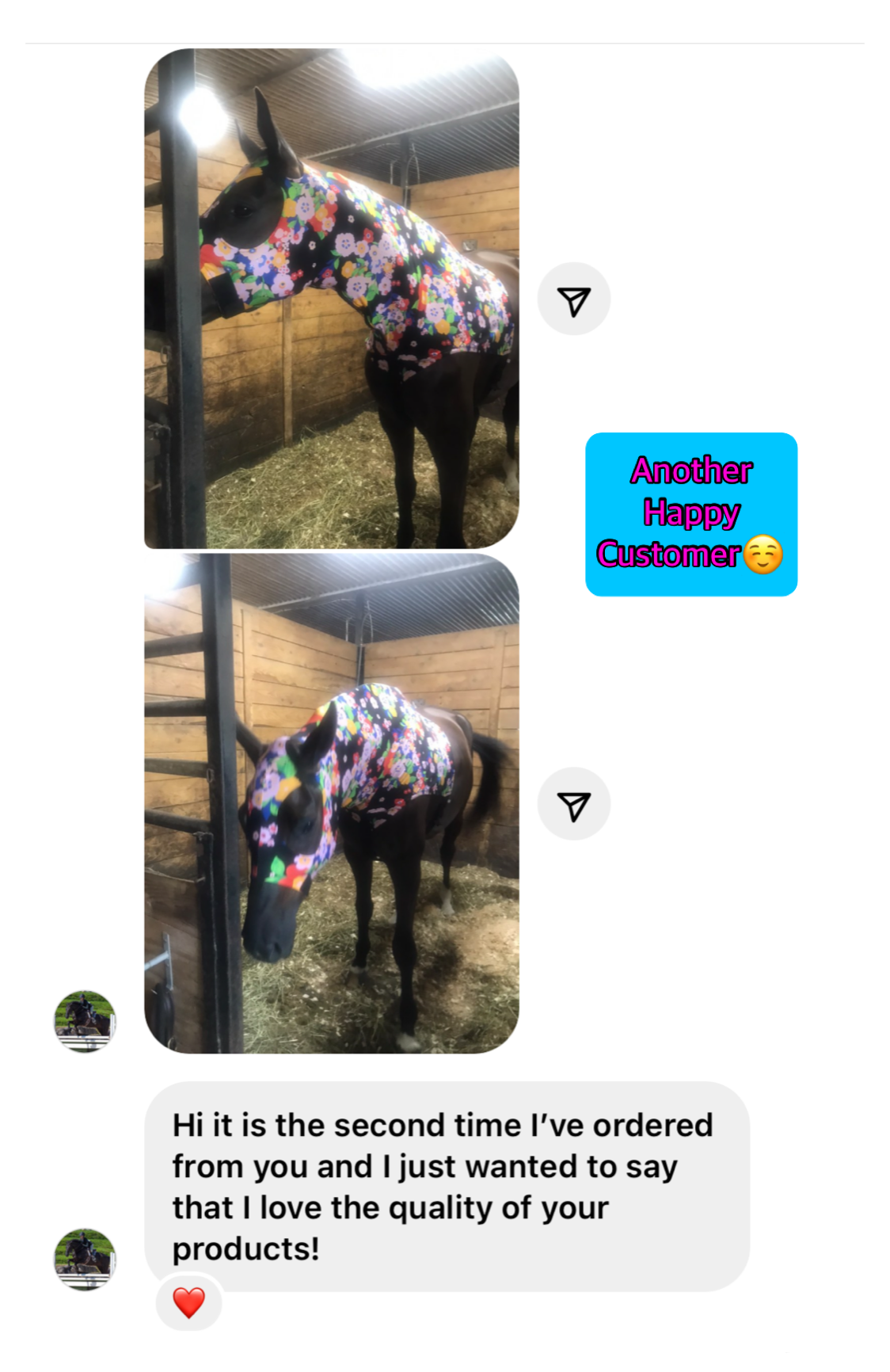 WARMBLOOD/DRAFT CROSS SLINKY. FREE CHARM