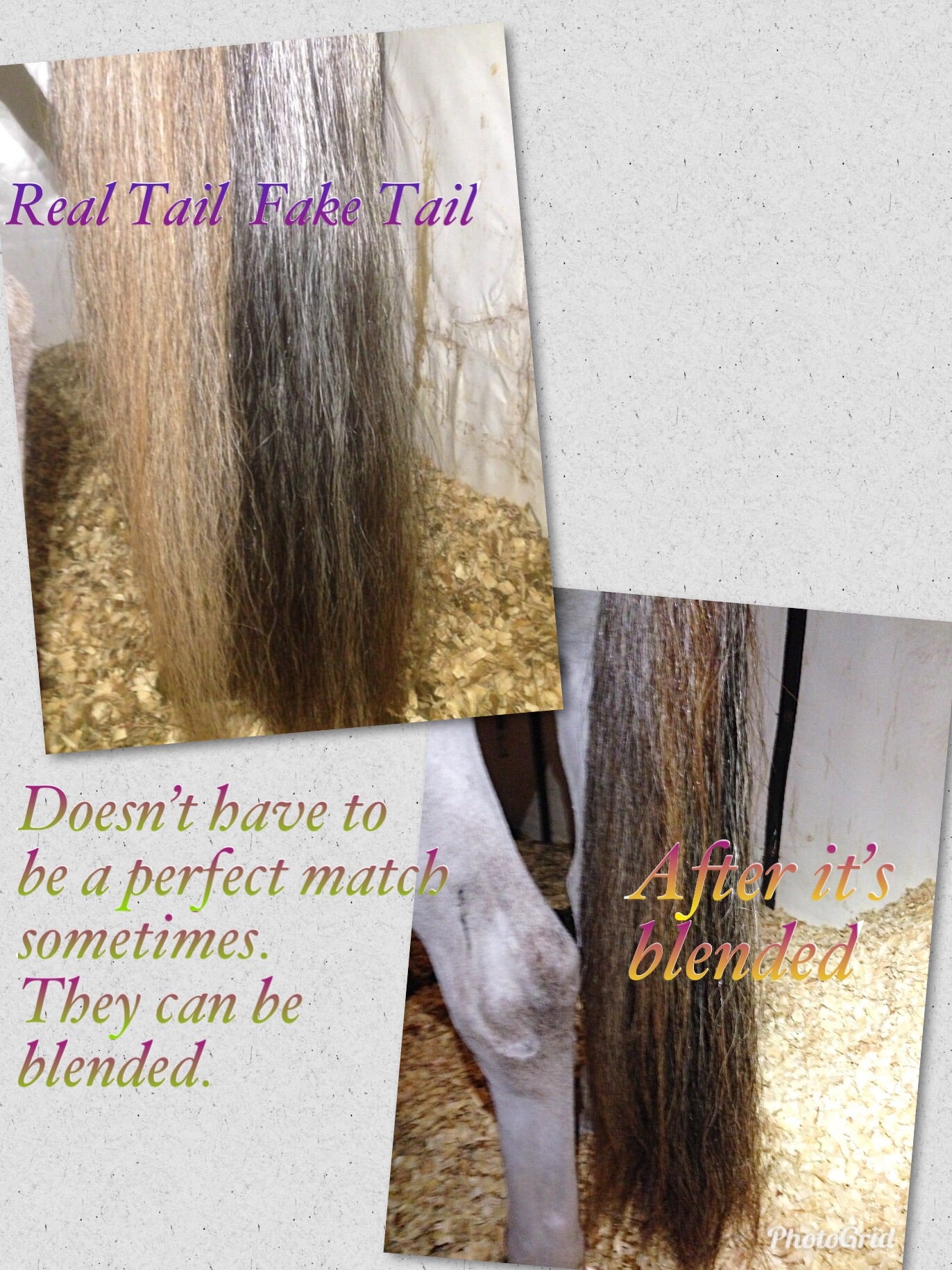 KNOB TOP Fake Tails 1 Pound. Real Horse Hair. Free Cover Bag, Pom Pom, Free Bridle Charm, Loop Charm. $180