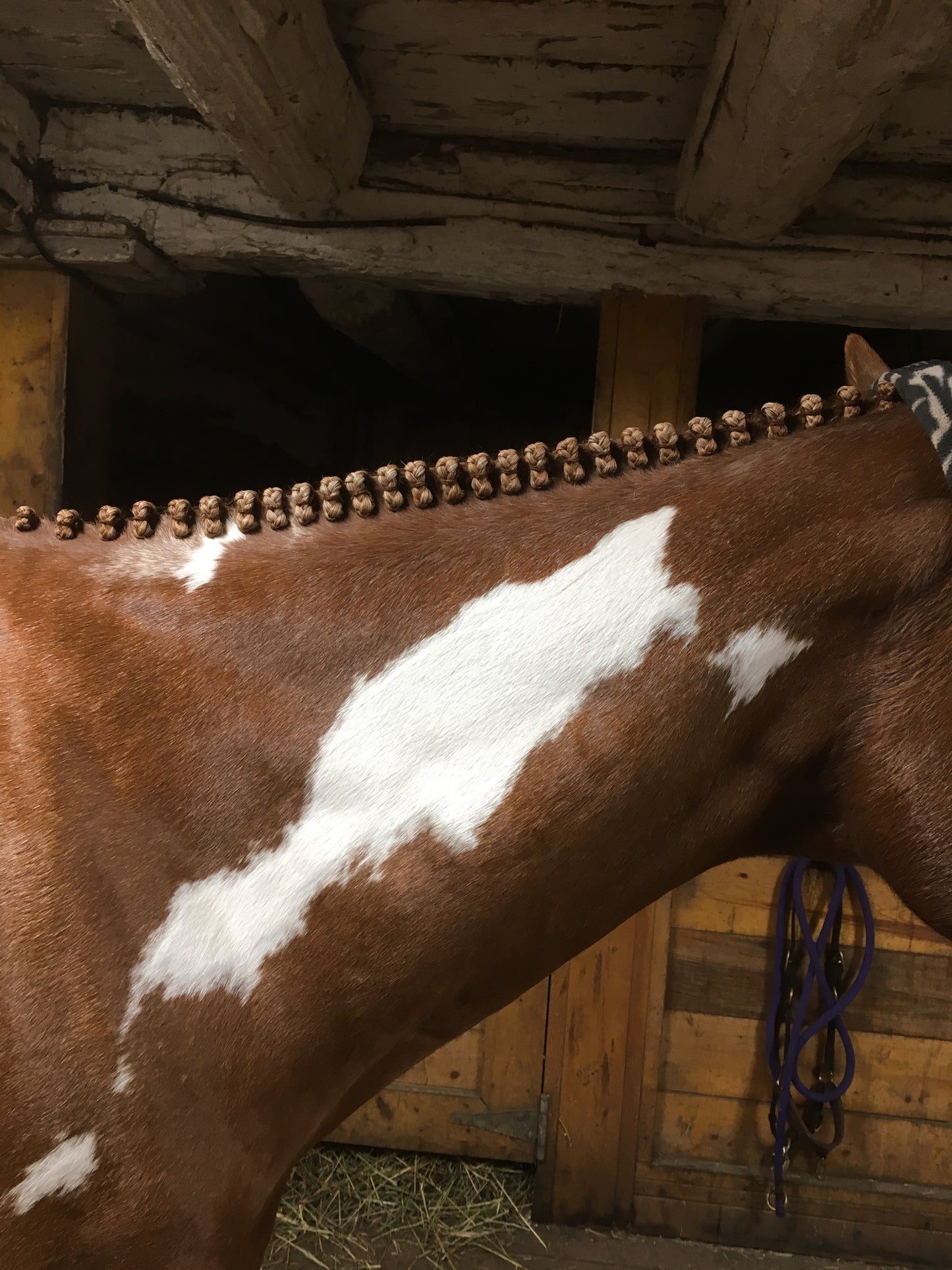 BRAIDING* Tutorials posted on the Facebook page: Katie’s Horse Care Supply (old), and Katie’s Horse Care Supply 2.0 (new). Instagram: Katie’s Horse Care Supply