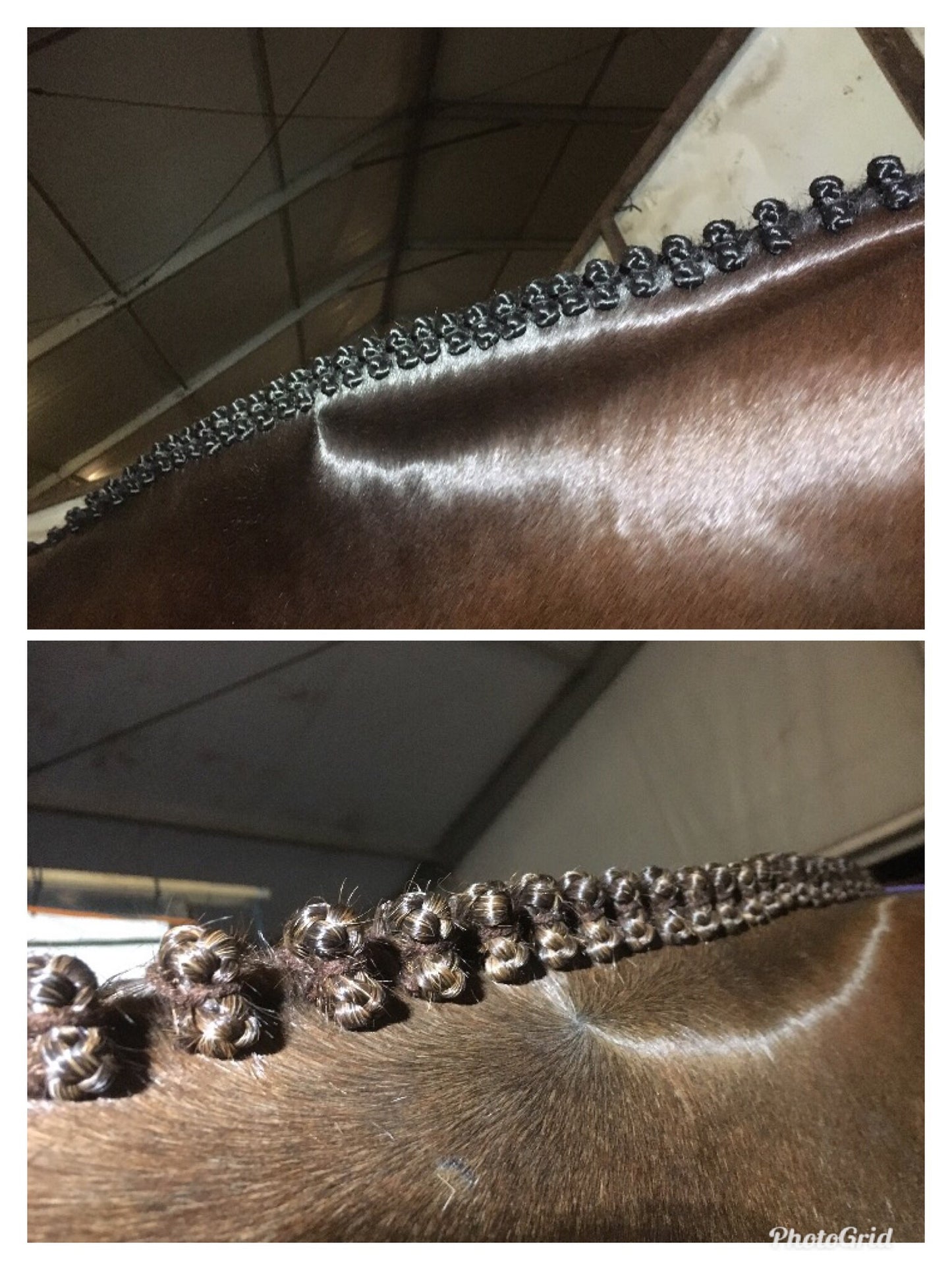 BRAIDING* Tutorials posted on the Facebook page: Katie’s Horse Care Supply (old), and Katie’s Horse Care Supply 2.0 (new). Instagram: Katie’s Horse Care Supply