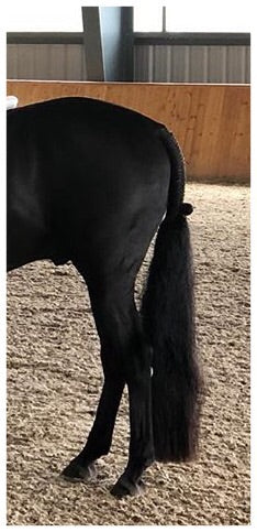 KNOB TOP Fake Tails 1/2 Pound. Real Horse Hair. Free Cover Bag, Pom Pom, Bridle Charm, Loop Charm. $99.99 - $125