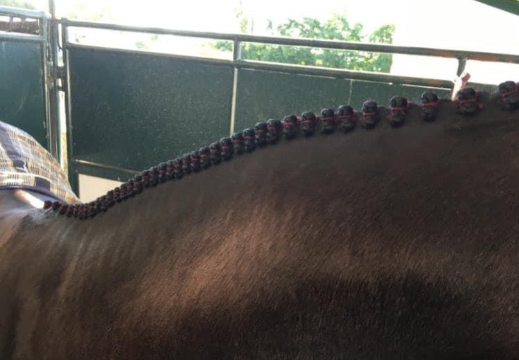 BRAIDING* Tutorials posted on the Facebook page: Katie’s Horse Care Supply (old), and Katie’s Horse Care Supply 2.0 (new). Instagram: Katie’s Horse Care Supply