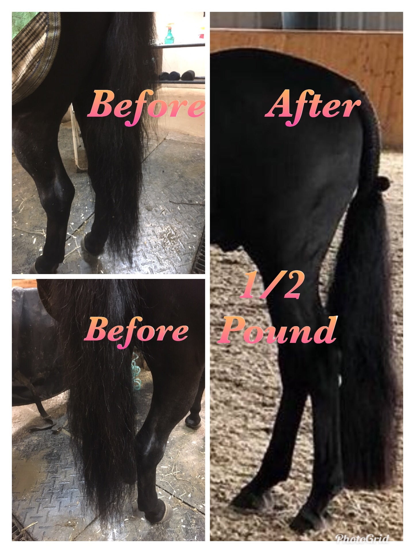 KNOB TOP Fake Tails 1/2 Pound. Real Horse Hair. Free Cover Bag, Pom Pom, Bridle Charm, Loop Charm. $99.99 - $125