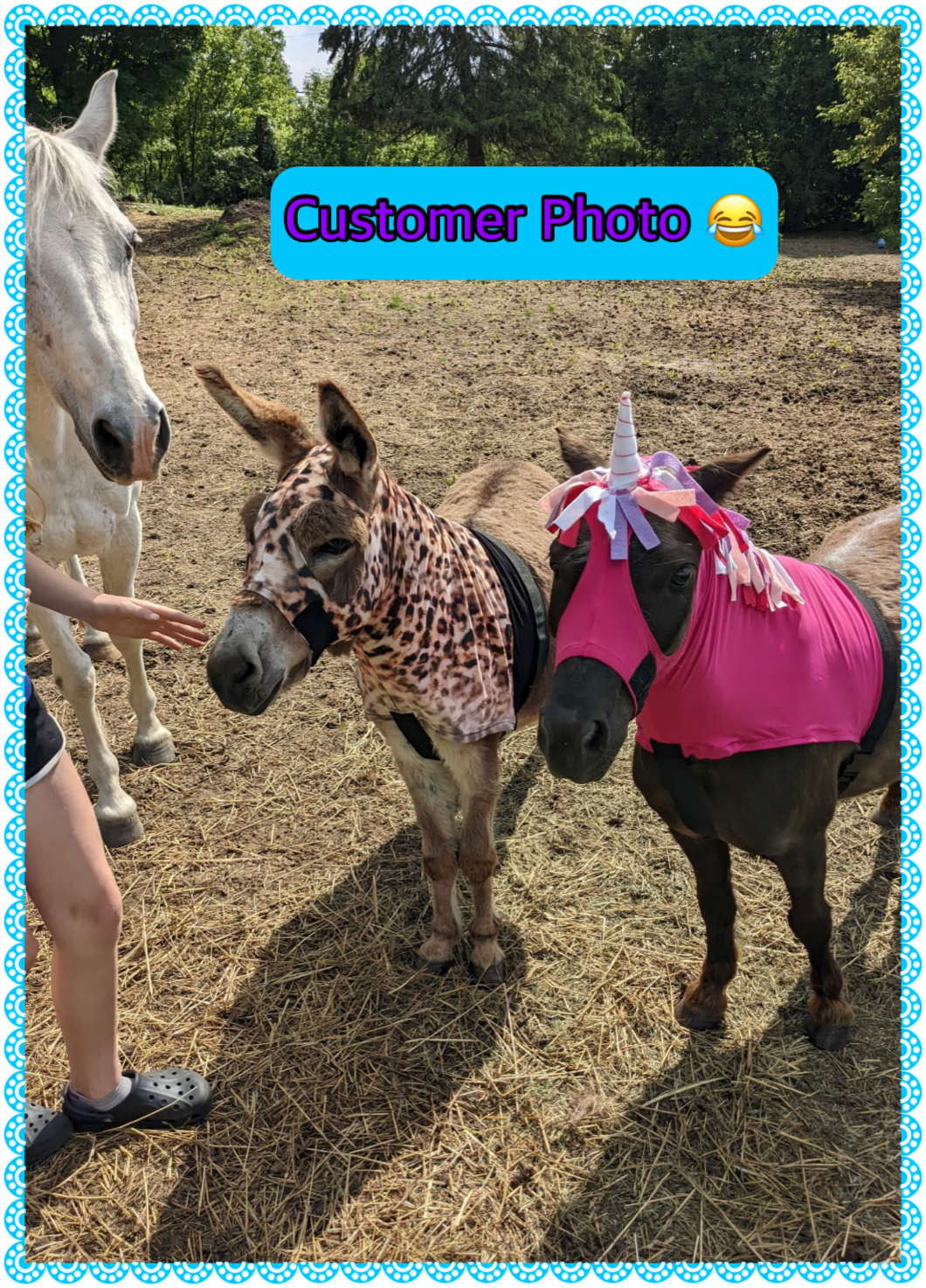 LARGE PONY/SMALL HORSE SLINKY. FREE CHARM