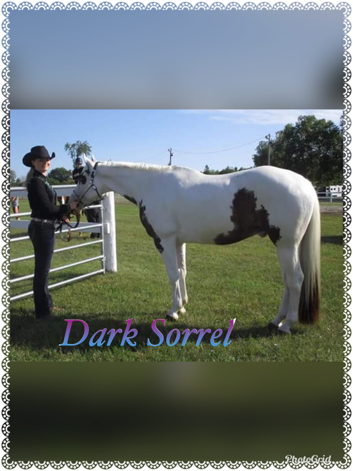 KNOB TOP Fake Tails 1 Pound. Real Horse Hair. Free Cover Bag, Pom Pom, Free Bridle Charm, Loop Charm. $180