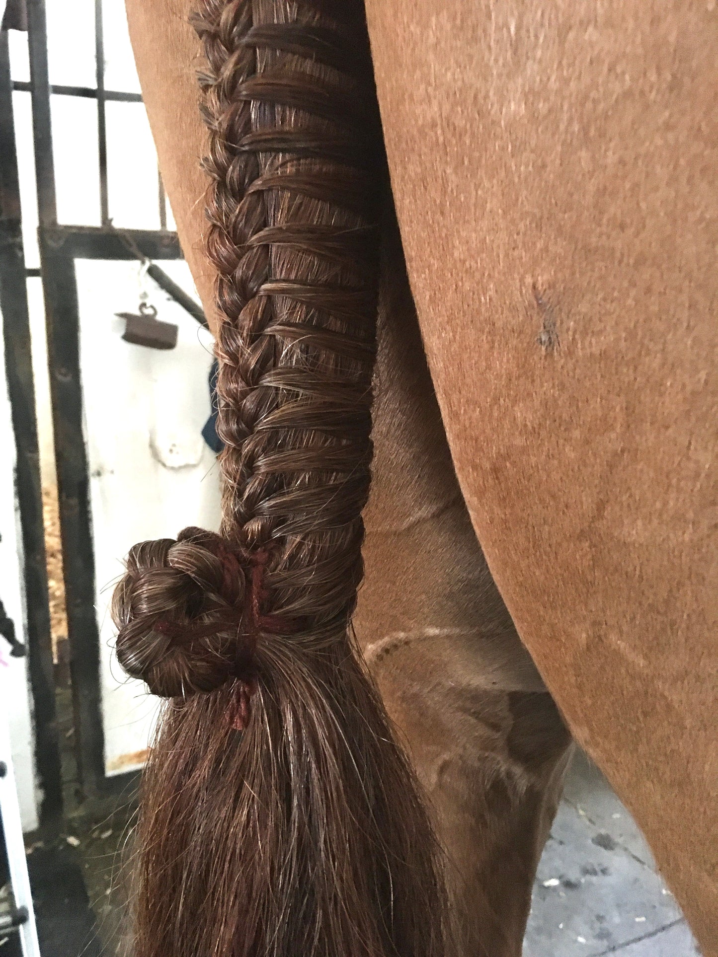 BRAIDING* Tutorials posted on the Facebook page: Katie’s Horse Care Supply (old), and Katie’s Horse Care Supply 2.0 (new). Instagram: Katie’s Horse Care Supply