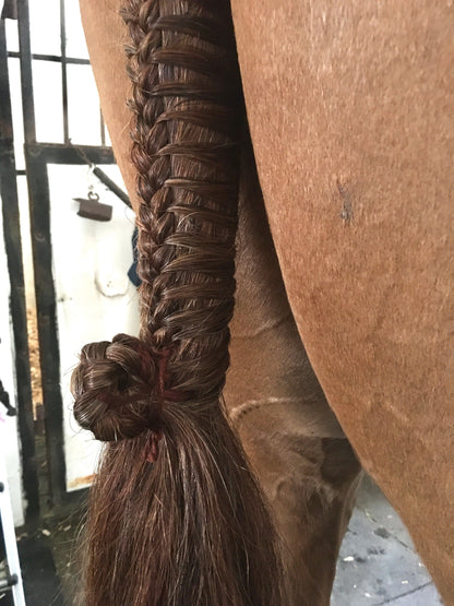 BRAIDING* Tutorials posted on the Facebook page: Katie’s Horse Care Supply (old), and Katie’s Horse Care Supply 2.0 (new). Instagram: Katie’s Horse Care Supply