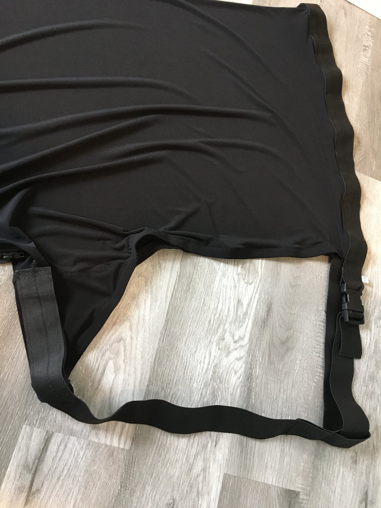 WARMBLOOD/DRAFT CROSS SLINKY. FREE CHARM