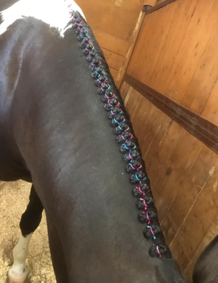 BRAIDING* Tutorials posted on the Facebook page: Katie’s Horse Care Supply (old), and Katie’s Horse Care Supply 2.0 (new). Instagram: Katie’s Horse Care Supply