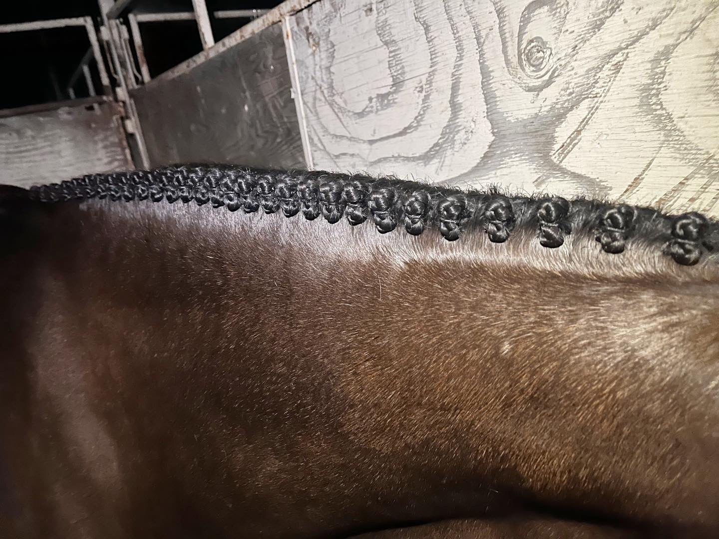 BRAIDING* Tutorials posted on the Facebook page: Katie’s Horse Care Supply (old), and Katie’s Horse Care Supply 2.0 (new). Instagram: Katie’s Horse Care Supply