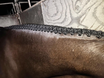 BRAIDING* Tutorials posted on the Facebook page: Katie’s Horse Care Supply (old), and Katie’s Horse Care Supply 2.0 (new). Instagram: Katie’s Horse Care Supply