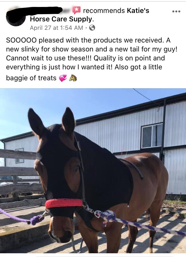 LARGE PONY/SMALL HORSE SLINKY. FREE CHARM