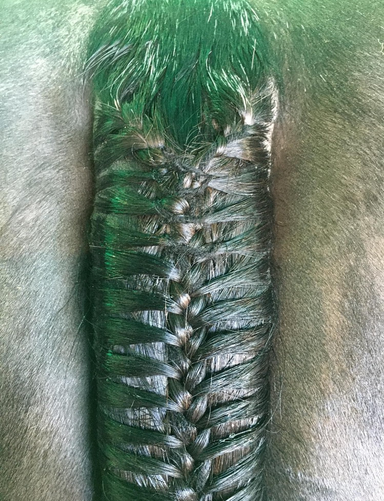 BRAIDING* Tutorials posted on the Facebook page: Katie’s Horse Care Supply (old), and Katie’s Horse Care Supply 2.0 (new). Instagram: Katie’s Horse Care Supply