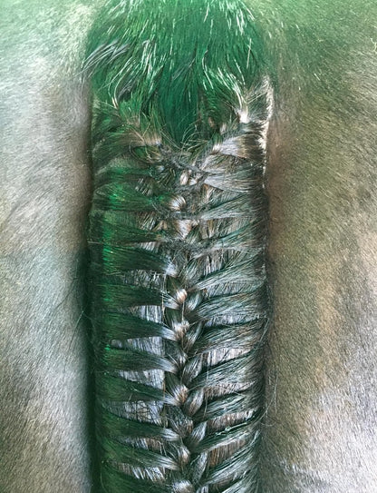 BRAIDING* Tutorials posted on the Facebook page: Katie’s Horse Care Supply (old), and Katie’s Horse Care Supply 2.0 (new). Instagram: Katie’s Horse Care Supply