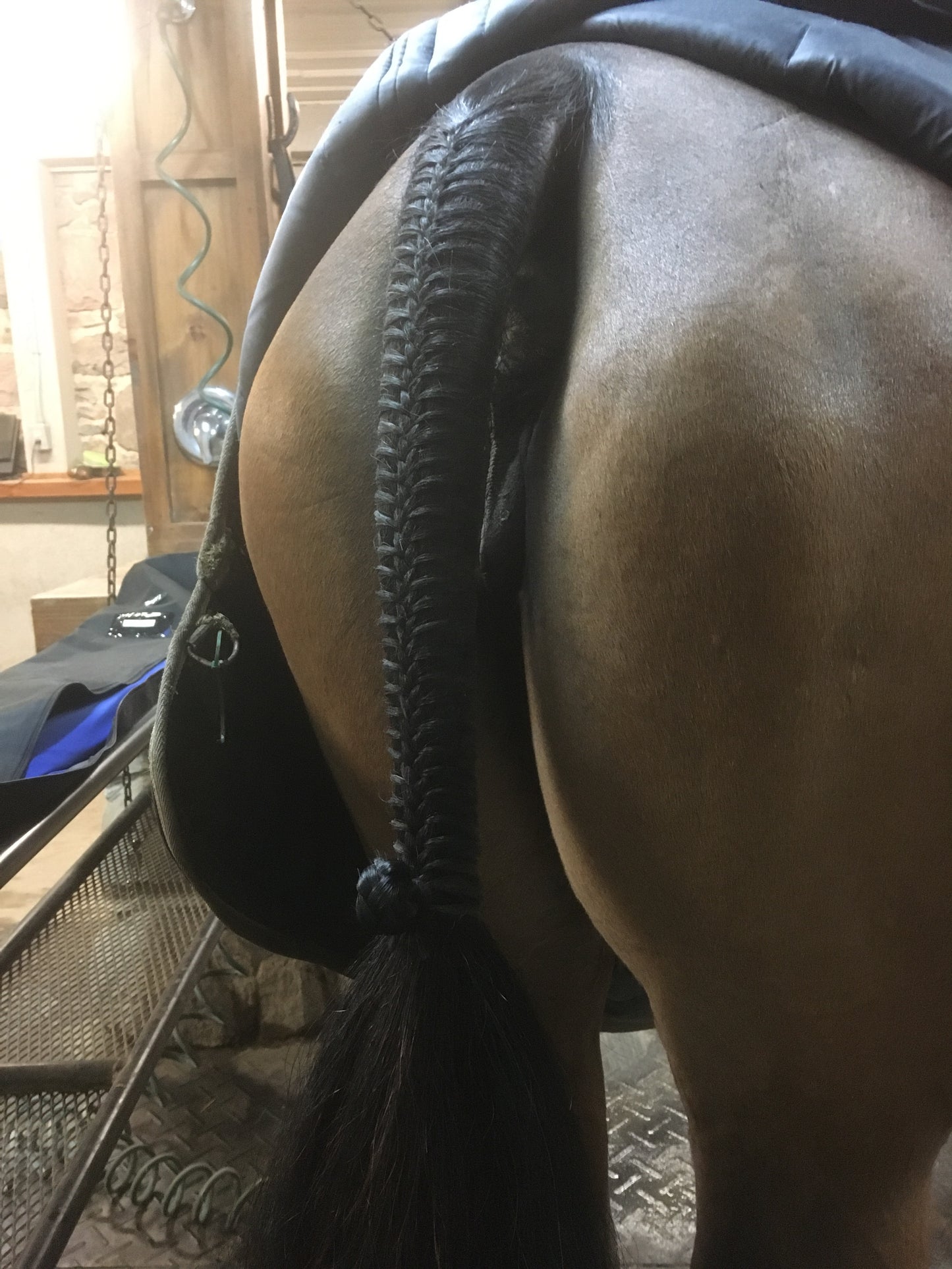 BRAIDING* Tutorials posted on the Facebook page: Katie’s Horse Care Supply (old), and Katie’s Horse Care Supply 2.0 (new). Instagram: Katie’s Horse Care Supply