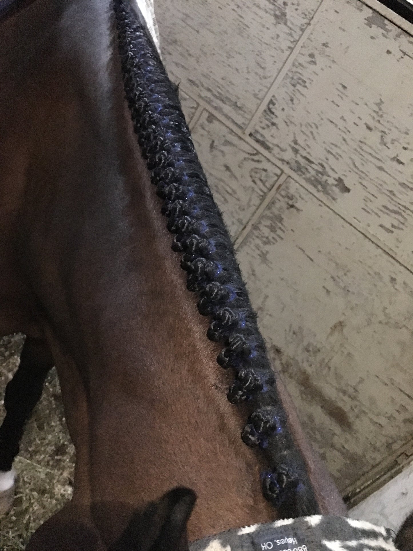 BRAIDING* Tutorials posted on the Facebook page: Katie’s Horse Care Supply (old), and Katie’s Horse Care Supply 2.0 (new). Instagram: Katie’s Horse Care Supply