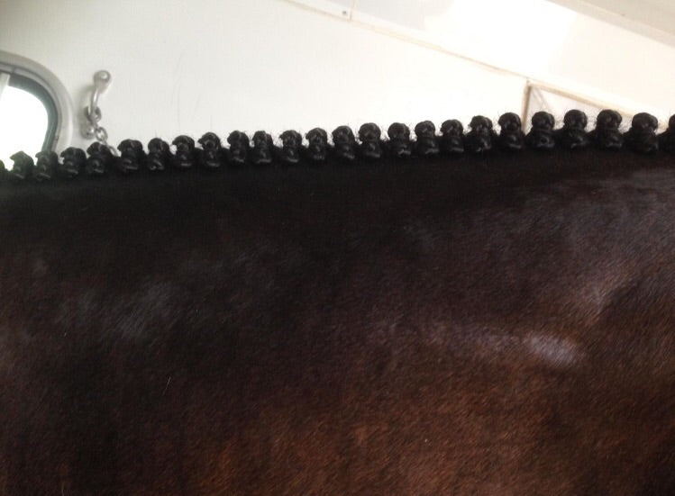 BRAIDING* Tutorials posted on the Facebook page: Katie’s Horse Care Supply (old), and Katie’s Horse Care Supply 2.0 (new). Instagram: Katie’s Horse Care Supply