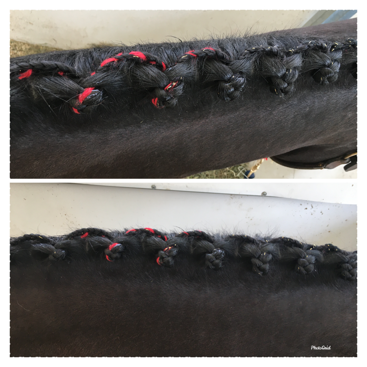 BRAIDING* Tutorials posted on the Facebook page: Katie’s Horse Care Supply (old), and Katie’s Horse Care Supply 2.0 (new). Instagram: Katie’s Horse Care Supply