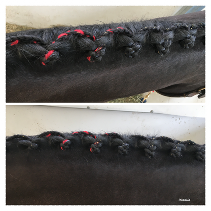 BRAIDING* Tutorials posted on the Facebook page: Katie’s Horse Care Supply (old), and Katie’s Horse Care Supply 2.0 (new). Instagram: Katie’s Horse Care Supply