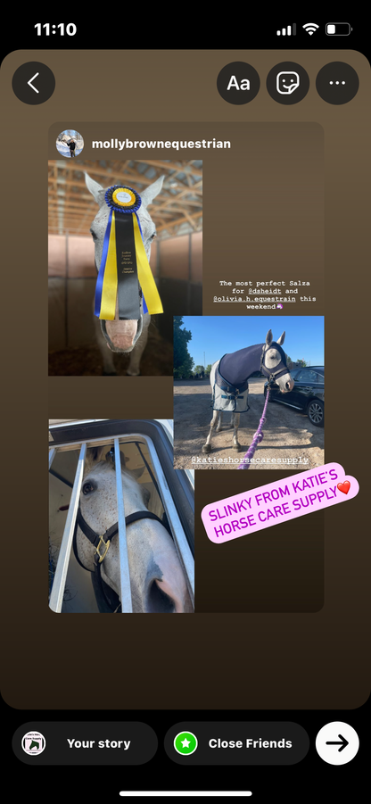 LARGE PONY/SMALL HORSE SLINKY. FREE CHARM