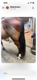 Natural Loop Fake Tails. Real Horse Hair. Free Cover Bag. Free Charm.