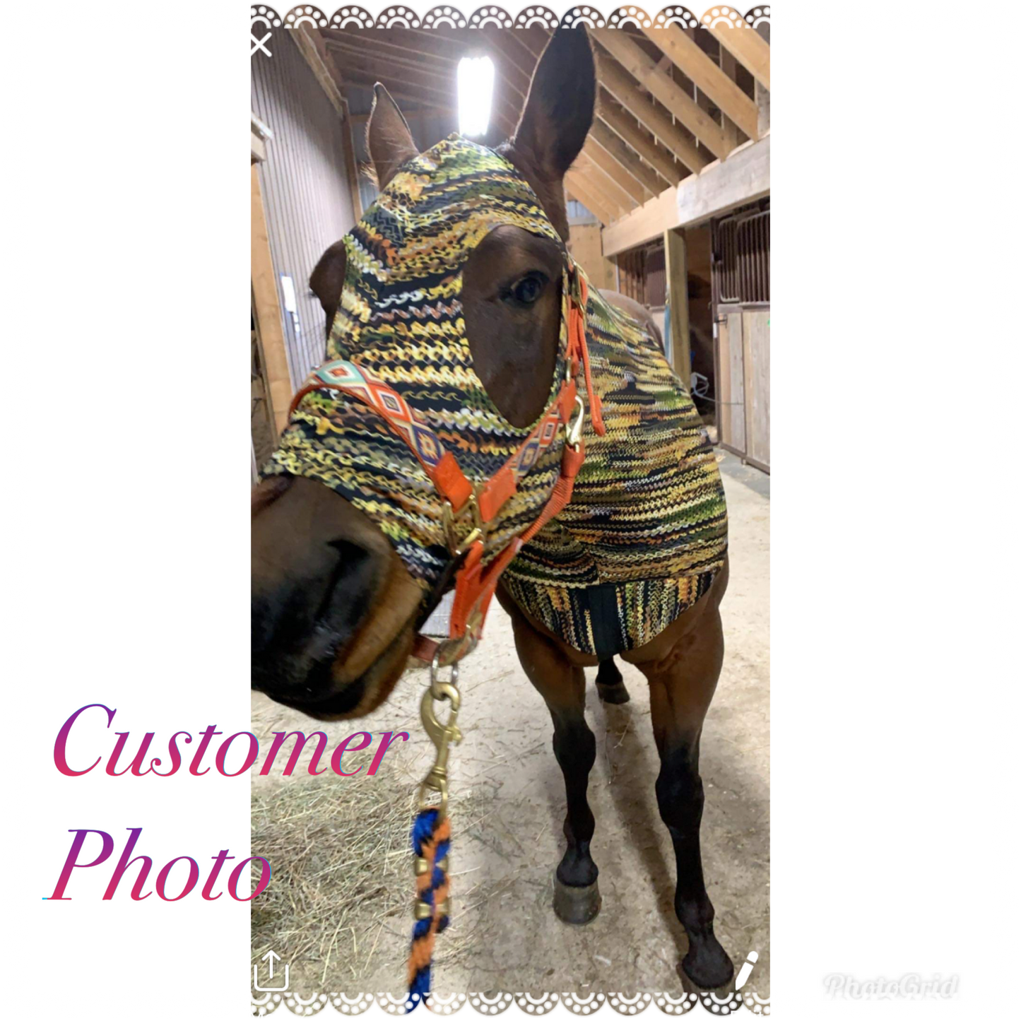 LARGE PONY/SMALL HORSE SLINKY. FREE CHARM