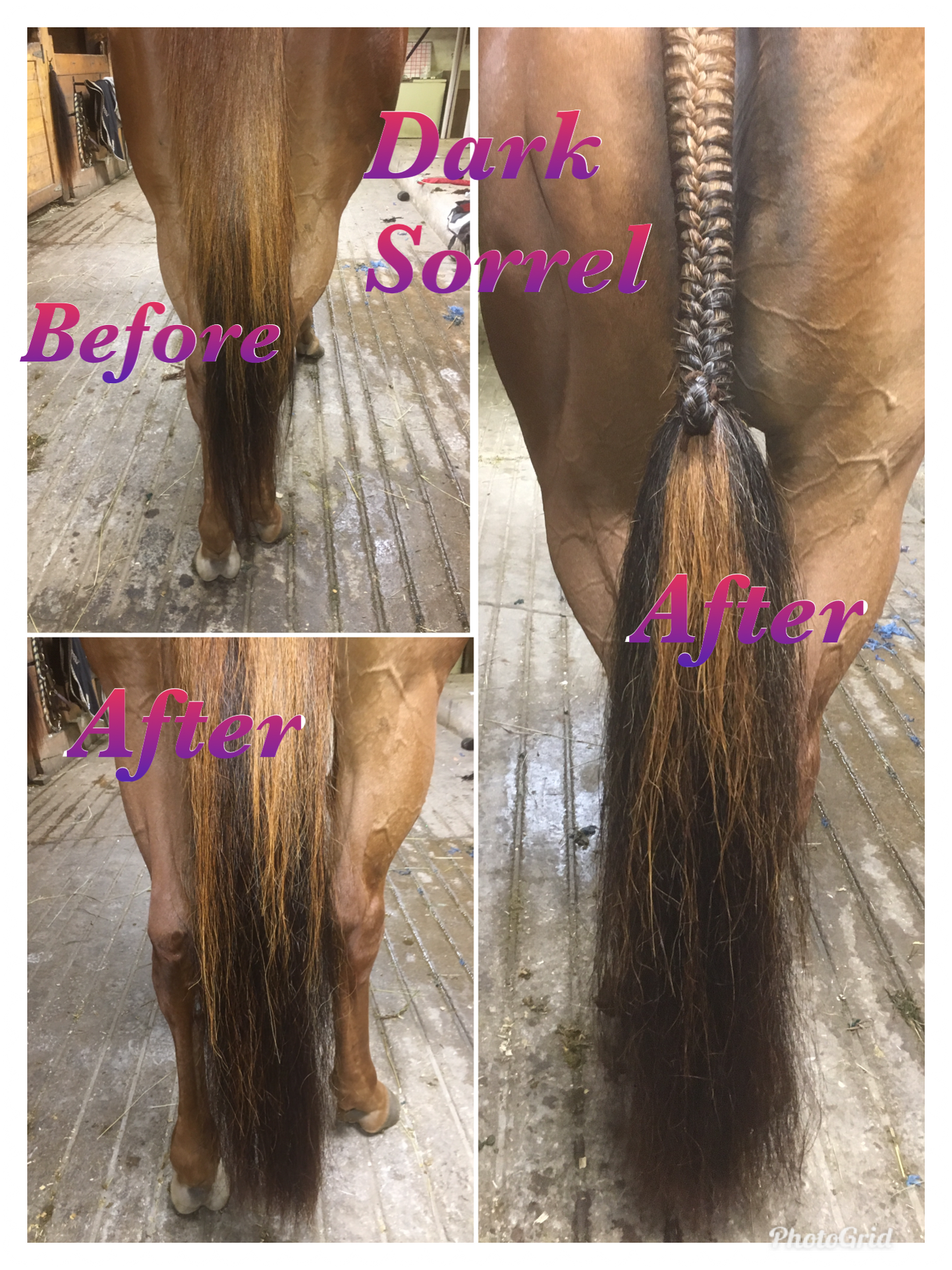 KNOB TOP Fake Tails 1/2 Pound. Real Horse Hair. Free Cover Bag, Pom Pom, Bridle Charm, Loop Charm. $99.99 - $125