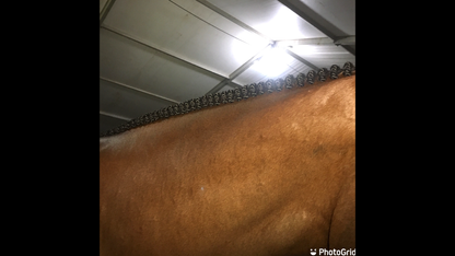 BRAIDING* Tutorials posted on the Facebook page: Katie’s Horse Care Supply (old), and Katie’s Horse Care Supply 2.0 (new). Instagram: Katie’s Horse Care Supply